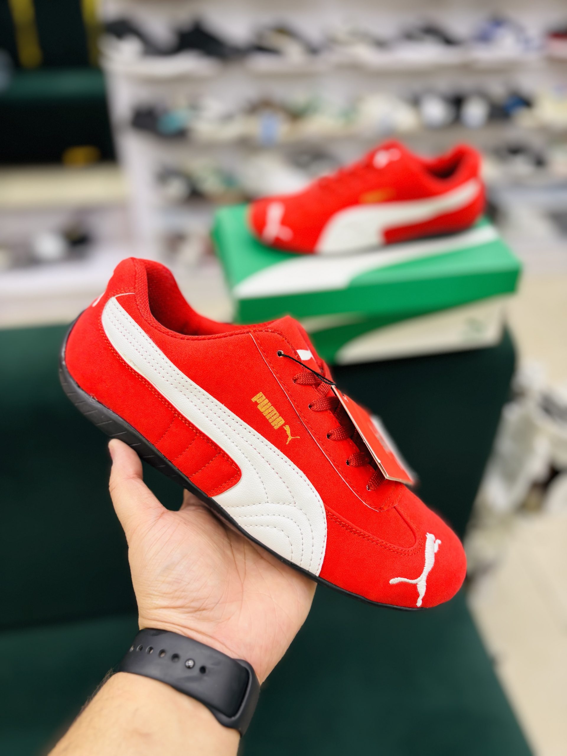 Speed cat Red