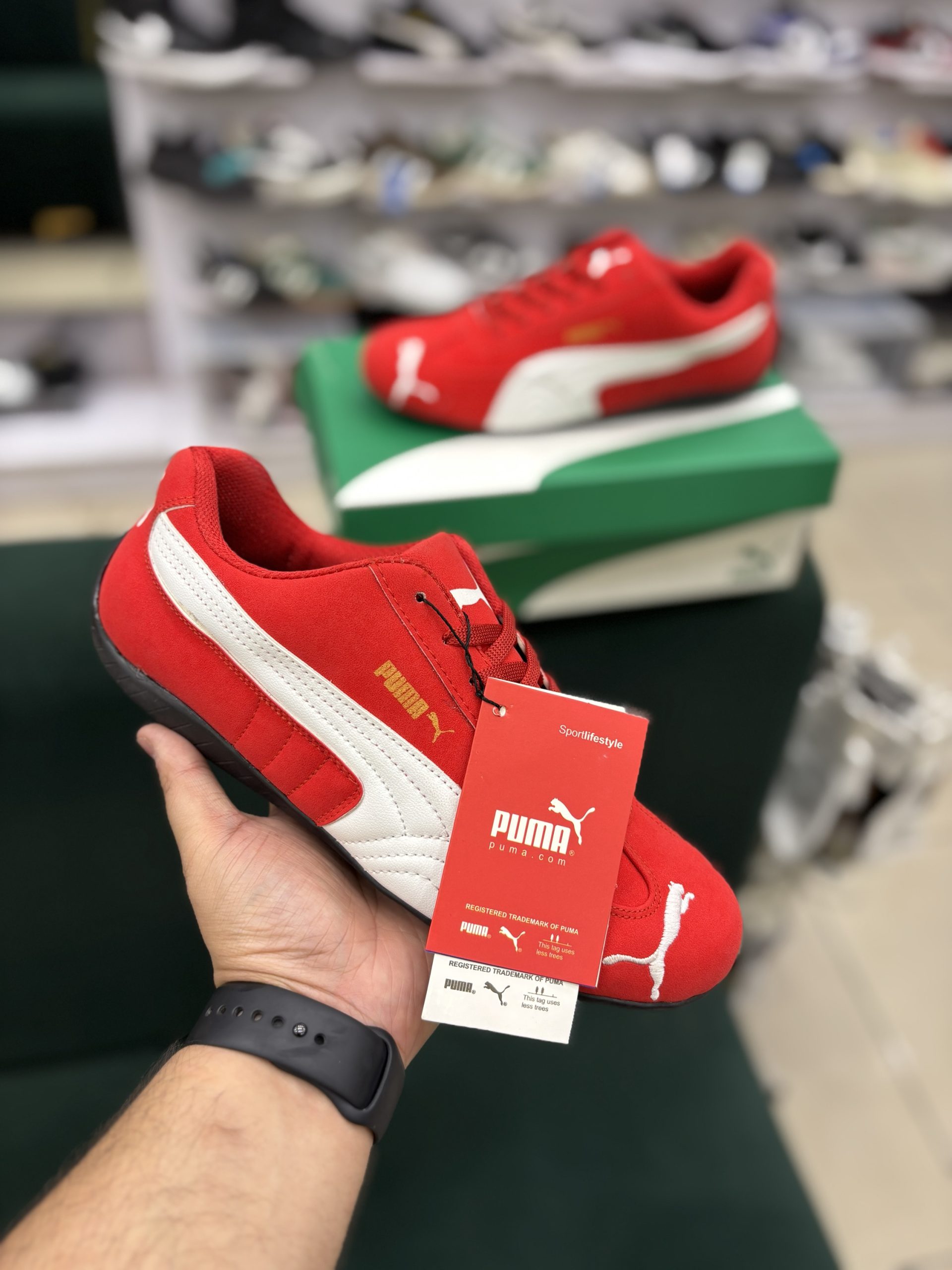 Speed cat Red