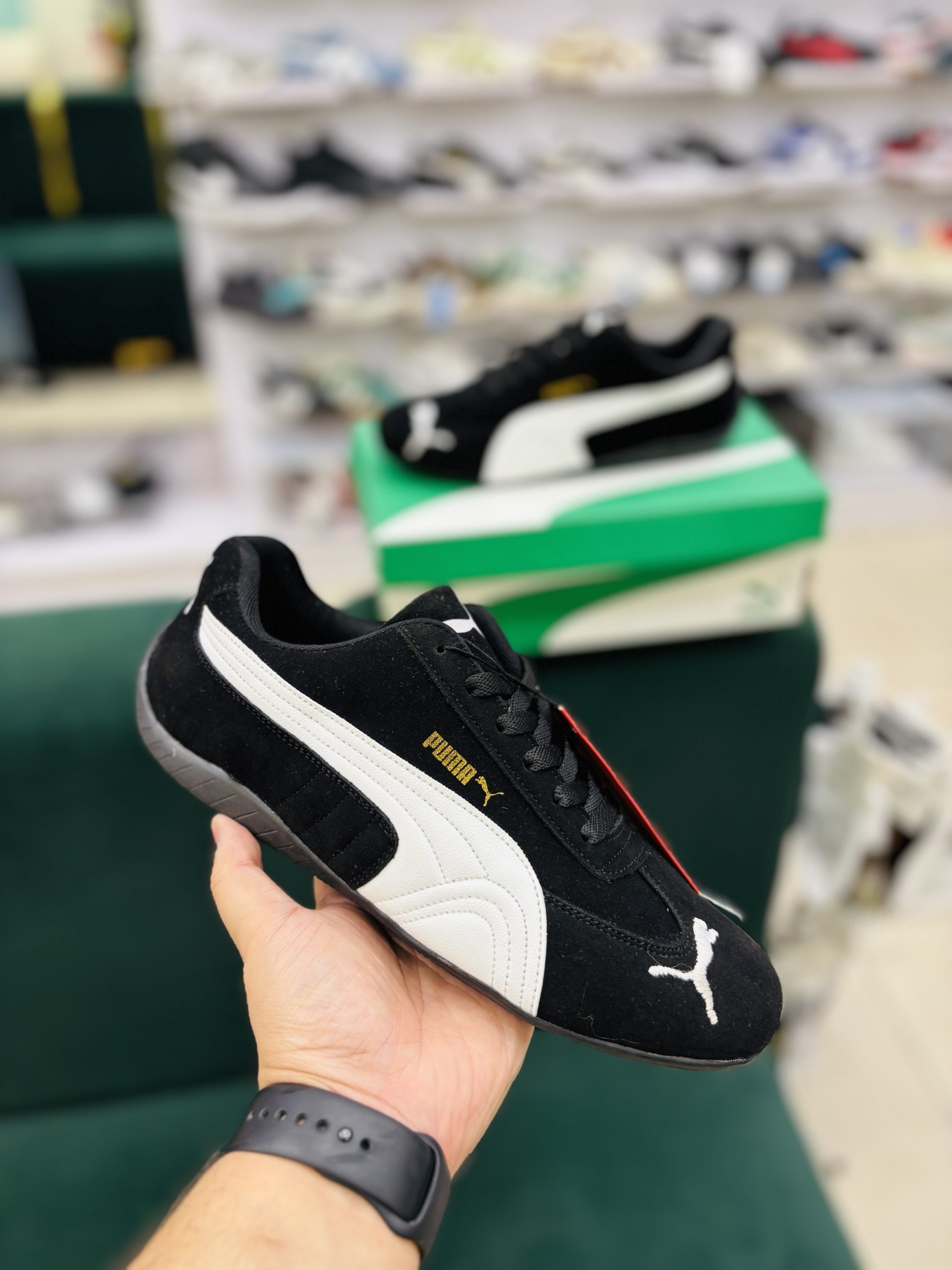 Speed cat black