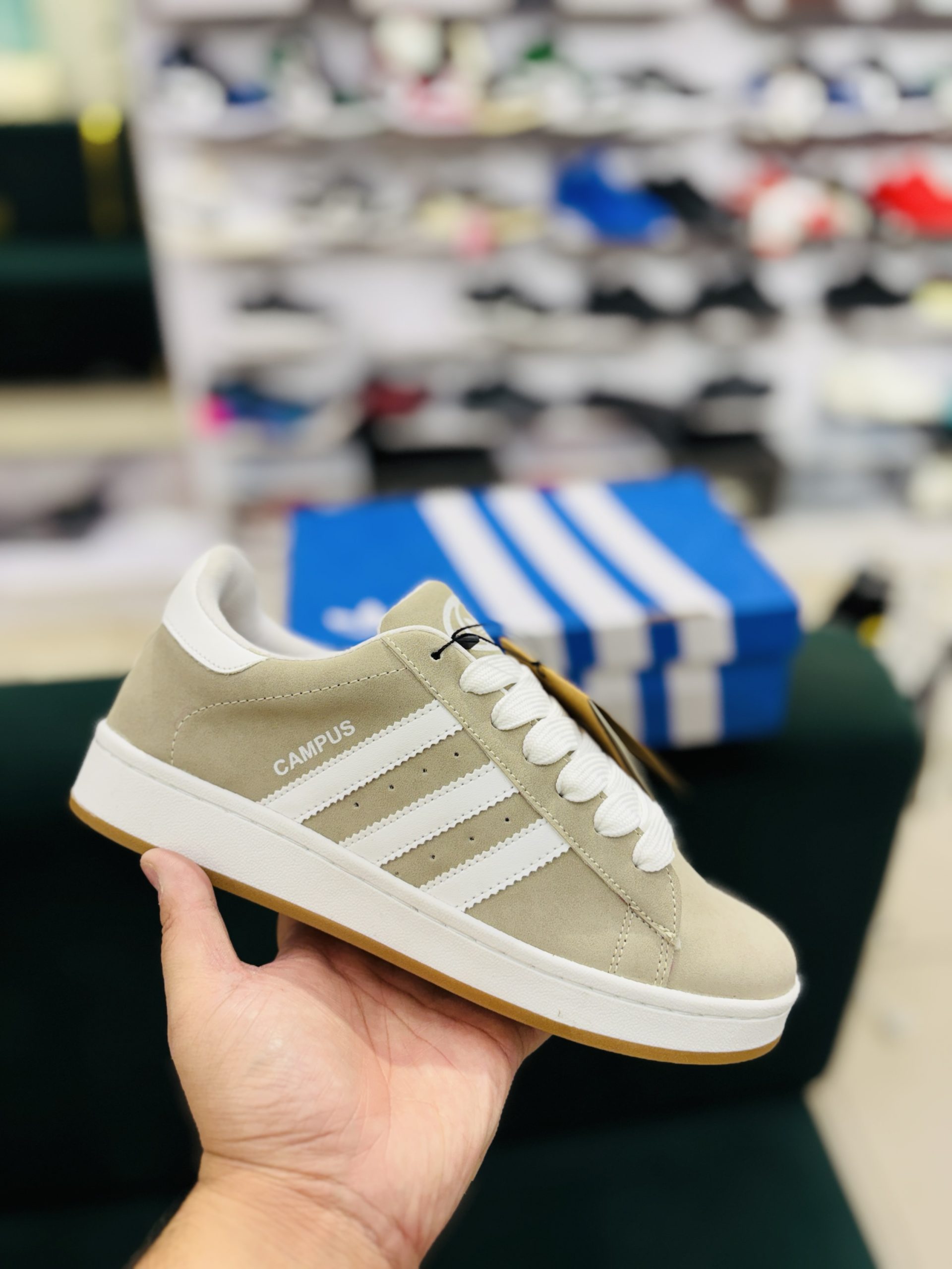 Campus cream