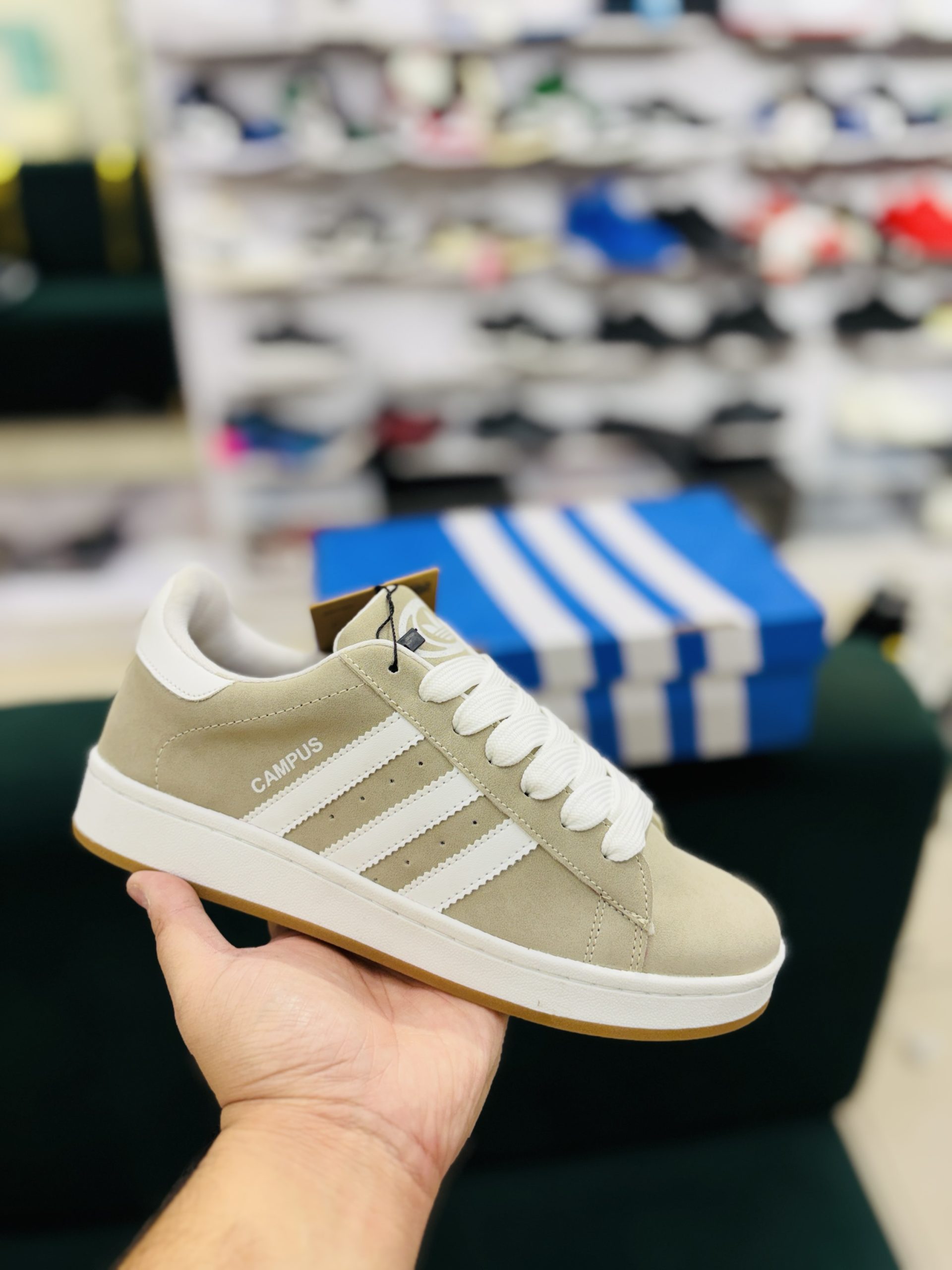 Campus cream